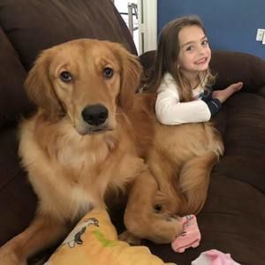 Meet your Posher, Joe